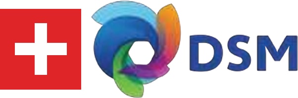 eu-dsm-patent-logo