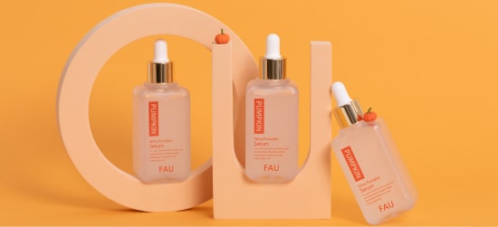 Fau Brand Identity Image